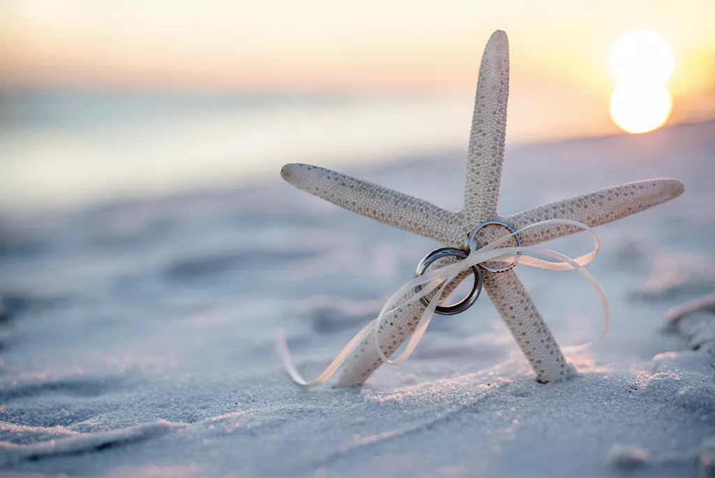 starfish as a ring cushion on the beach of finolhu at sunset