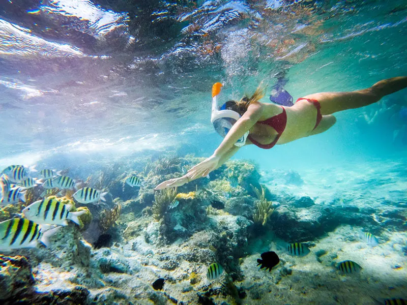 mujer buceando en un arrecife con peces rayados