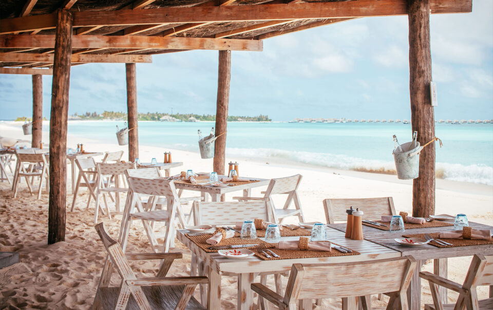 Indulge in a Delightful Culinary Experience at Our Renowned Crab Shack Restaurant